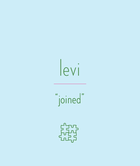 114172-levi.jpg