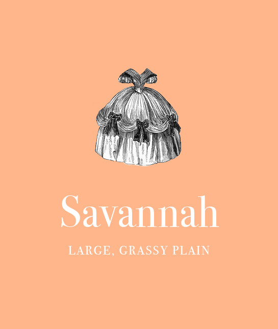 114821-2_savannah.jpg