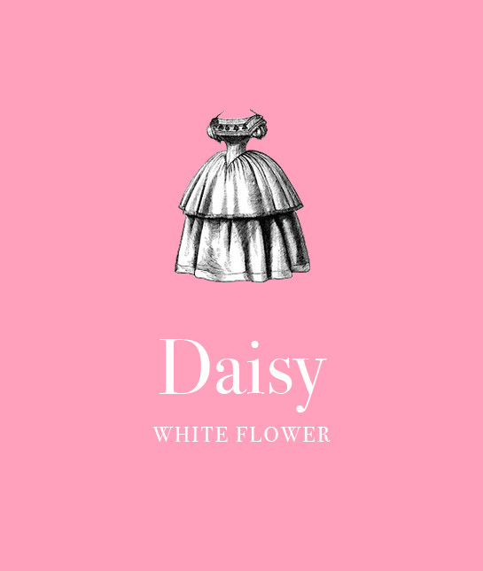 114822-3_daisy.jpg