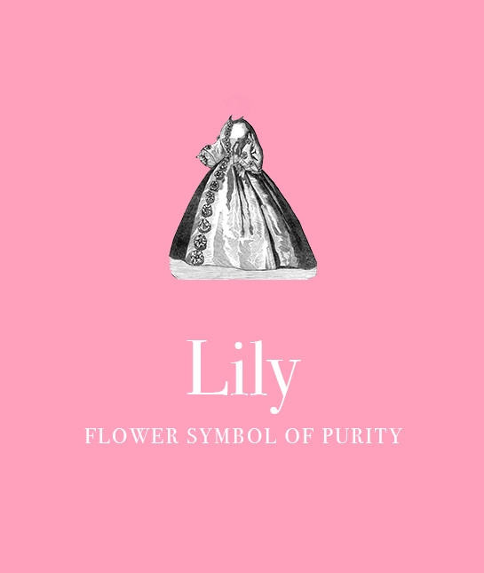 114826-7_lily.jpg