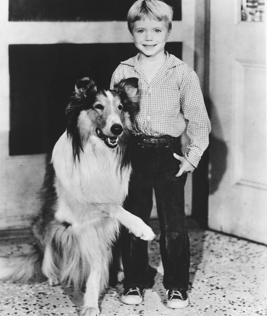 Lassie Lassie