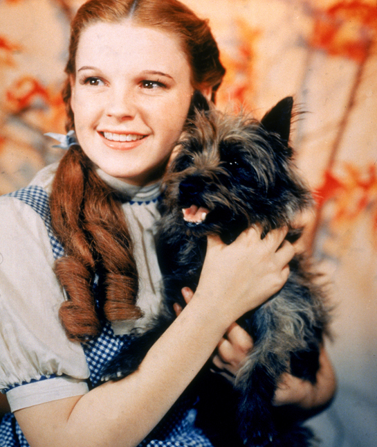 Dorothy & Toto
