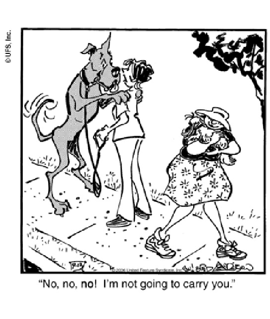114878-marmaduke.jpg