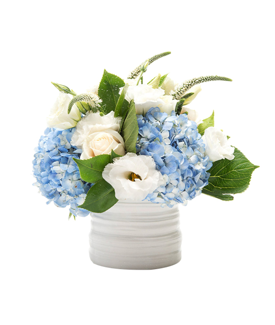 115603-youfleurish.jpg