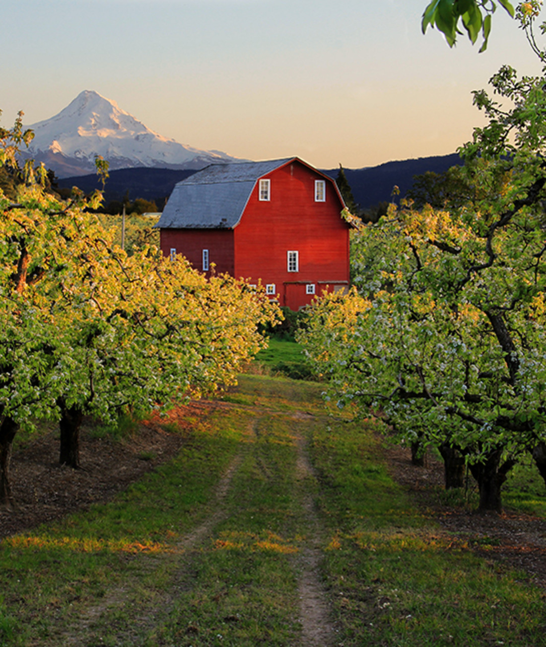 116022-hood-river-oregon.jpg