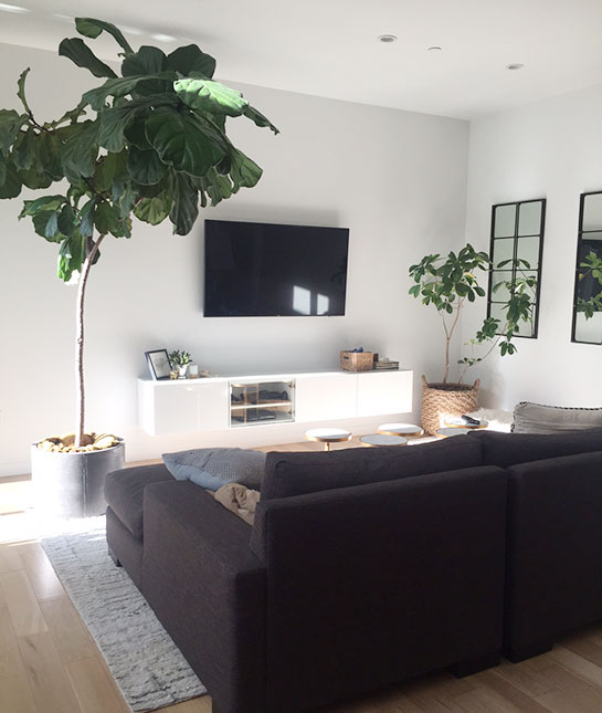 119023-7-oversized-plants.jpg