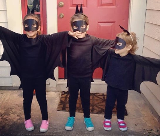 120380-bats.jpg