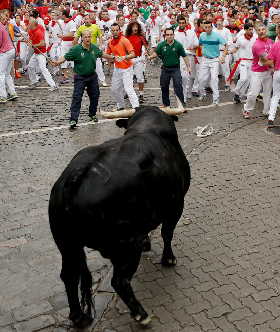 120637-running-of-the-bulls.jpg