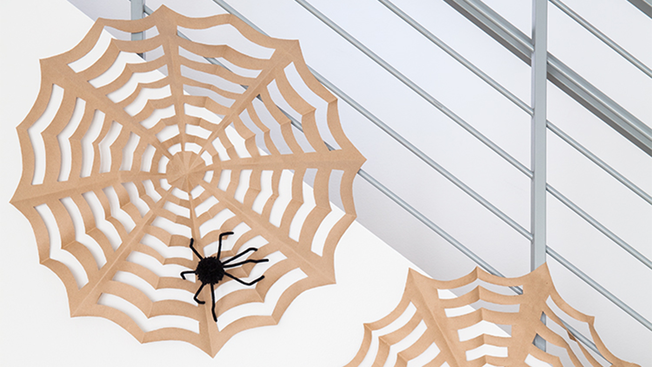 121029-spider-web_copy.jpg 121029-spider-web_copy.jpg