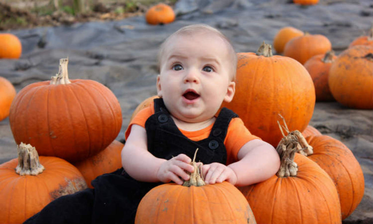 baby-pumpkin-patch