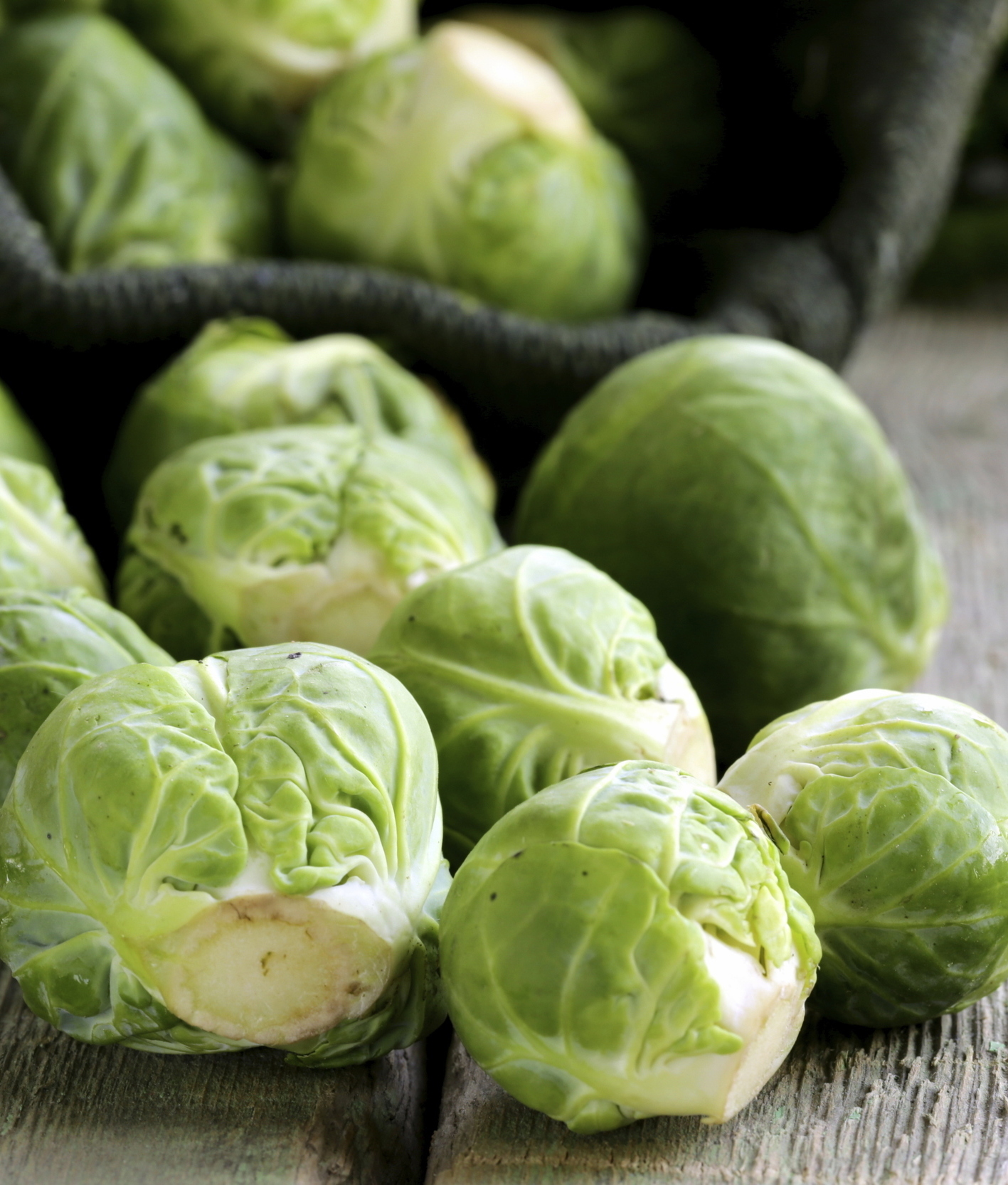 124000-fresh-raw-organic-green-brussel-sprouts-2.jpg