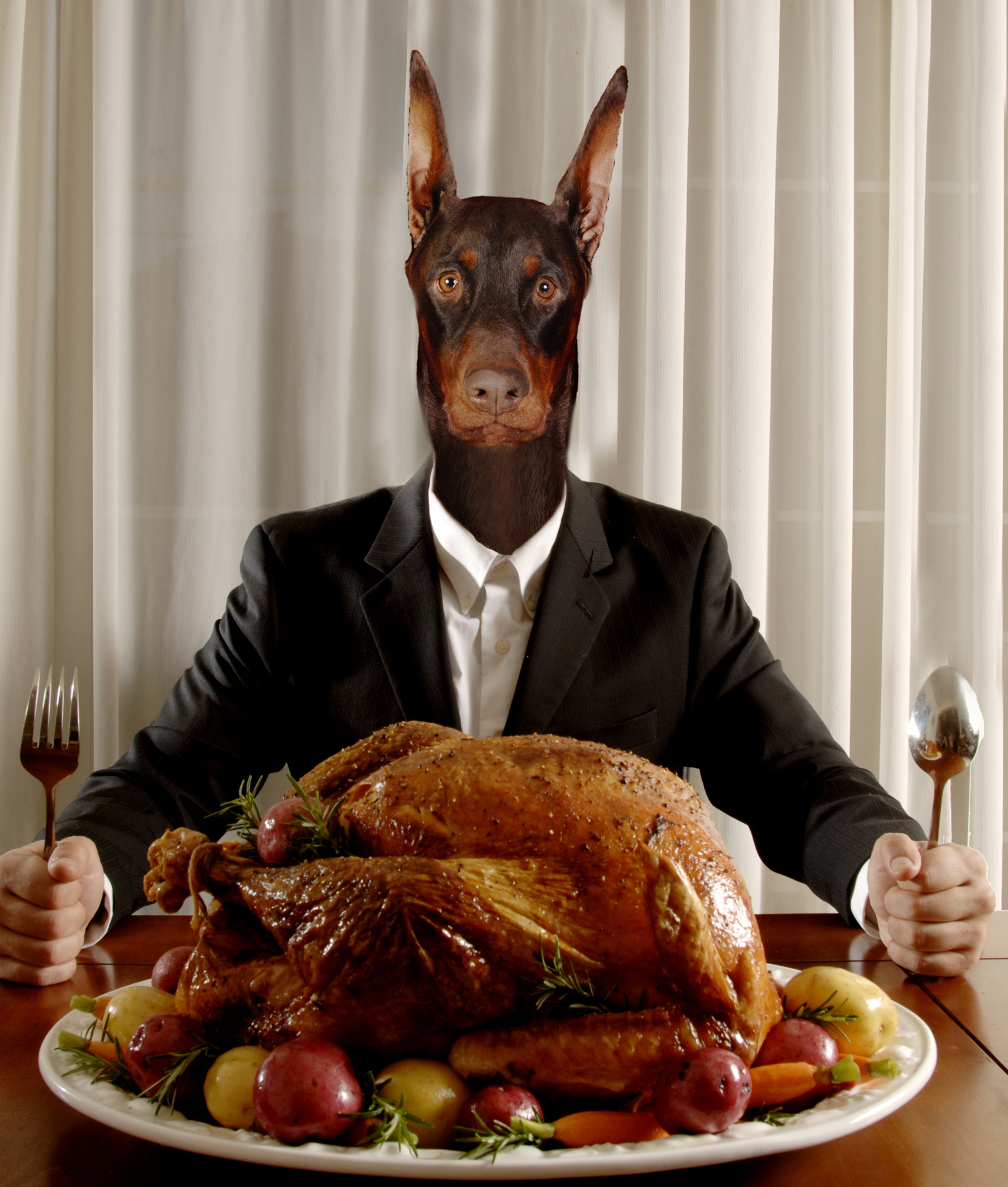 124005-dog-man-eating-turkey-dinner-2.jpg 124005-dog-man-eating-turkey-dinner-2.jpg