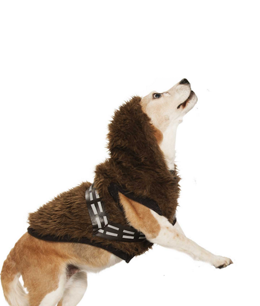 124819-6.png