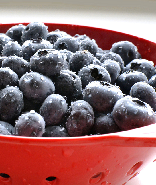 126011-7-blueberries.jpg