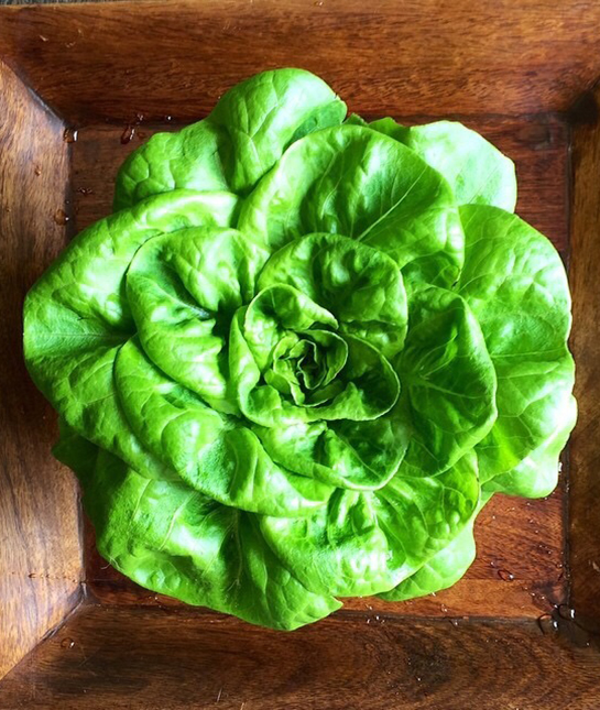 128758-5-lettuce.jpg