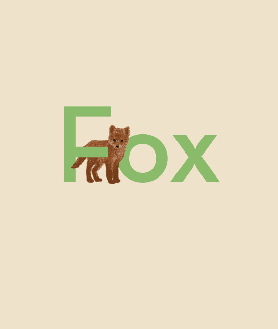 130410-fox.jpg