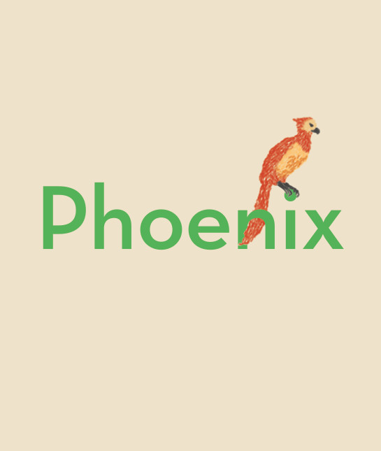 130415-phoenix.jpg