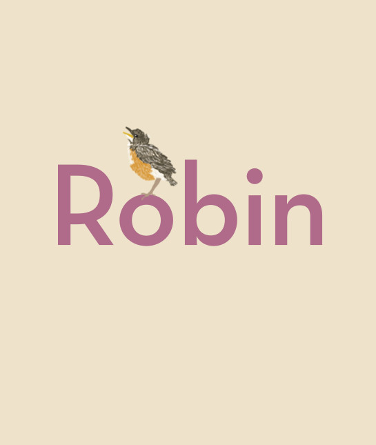 130416-robin.jpg