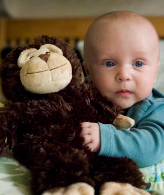 131024-baby-stuffed-monkey.jpg 131024-baby-stuffed-monkey.jpg