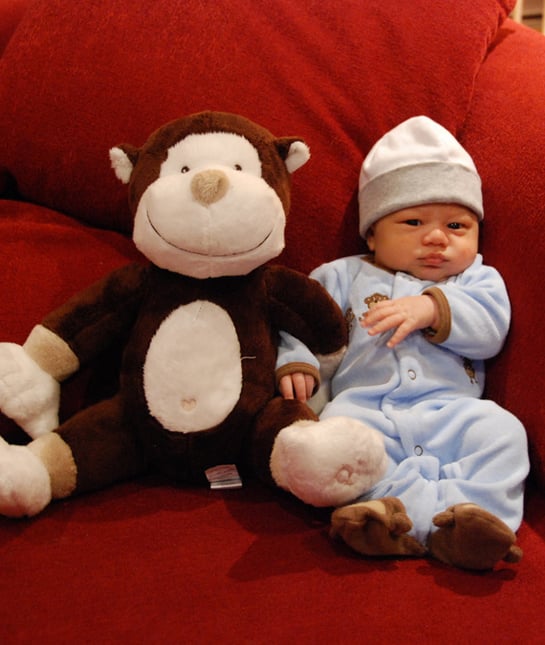 131033-baby-monkey.jpg