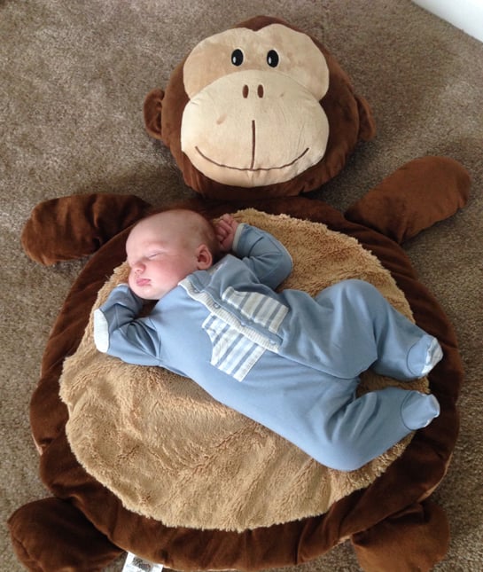 131040-baby-sleeping-monkey-soft.jpg