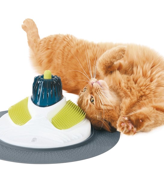 131812-4-petgadgets.jpg