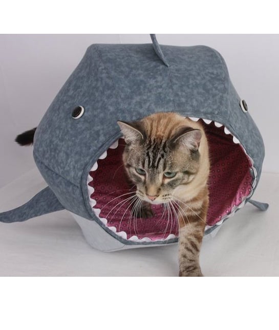131820-12-petgadgets.jpg