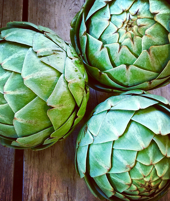 132053-1-artichoke.jpg