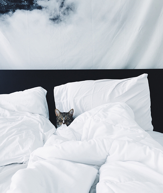 132064-12-bed.jpg