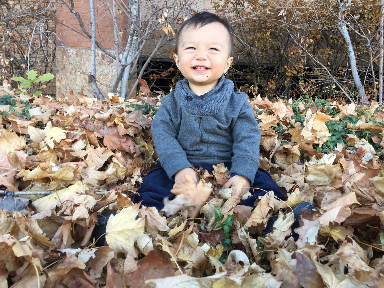 Smiling Baby in the Fall - It's never too early to start taking care of that beautiful little smile