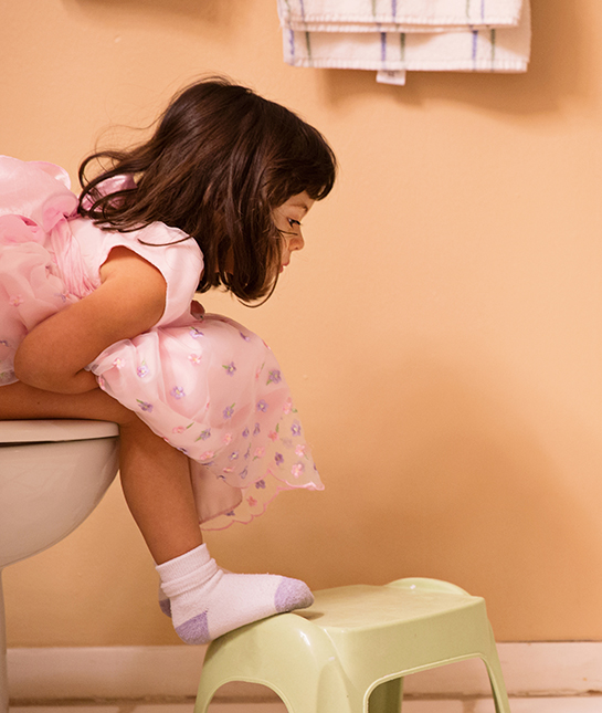 133480-1-girl-on-toilet-pink-dress.jpg 133480-1-girl-on-toilet-pink-dress.jpg