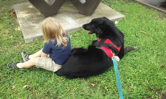 136863-killian-the-dog-saves-finn.jpg