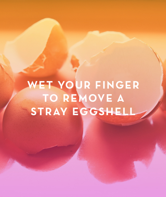 139292-eggshell.jpg