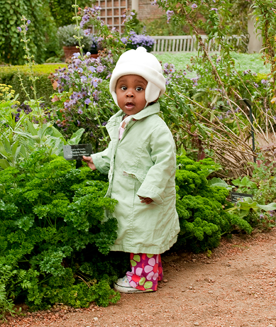 143792-9-toddler-garden-twenty20_748aa0e9-0f51-4271-8b20-fbc731e.jpg