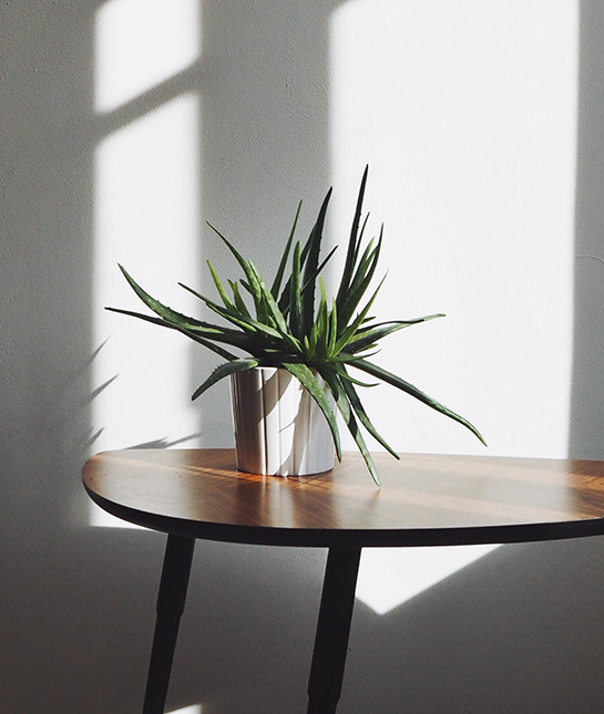 Processed with VSCO with a9 preset