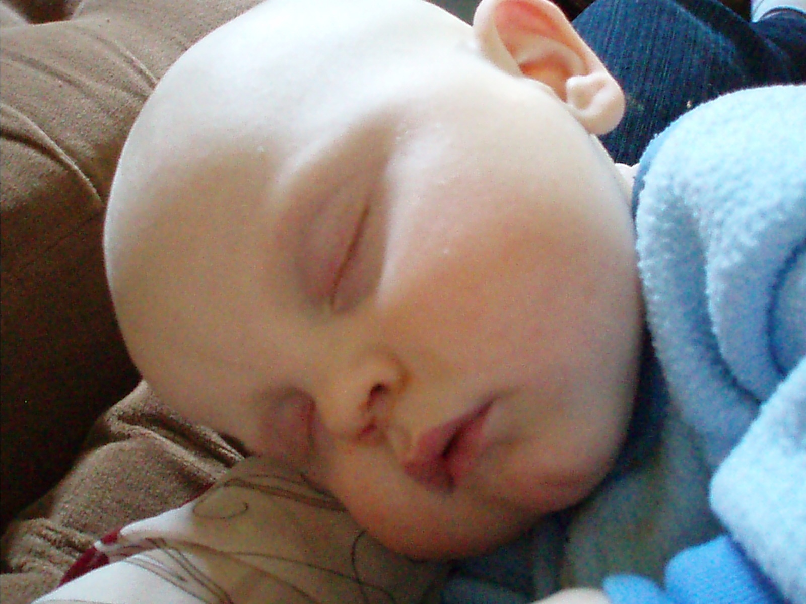146478-attachment-1.jpg