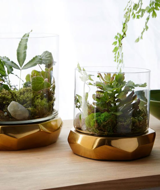 149150-west-elm-roar-terrarium.jpg