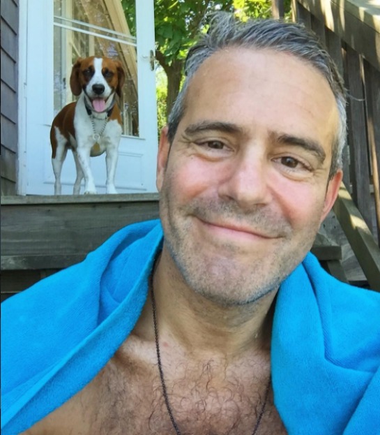 149958-andy-cohen.jpg
