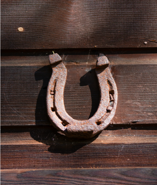 150951-horseshoe-resized2.png