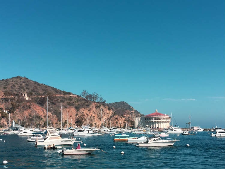 Catalina Island A Daytrip Worth Savoring(04)