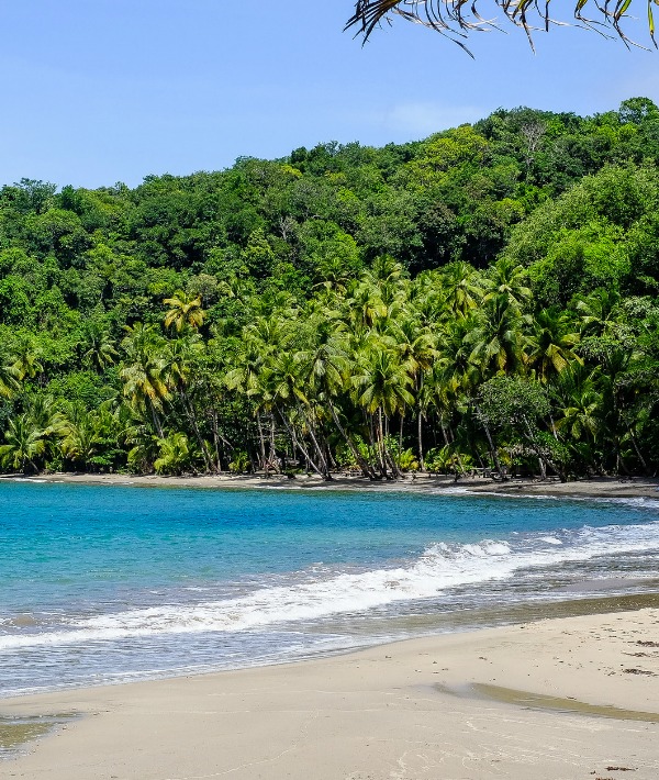 152882-tropical-beach-resized.jpg