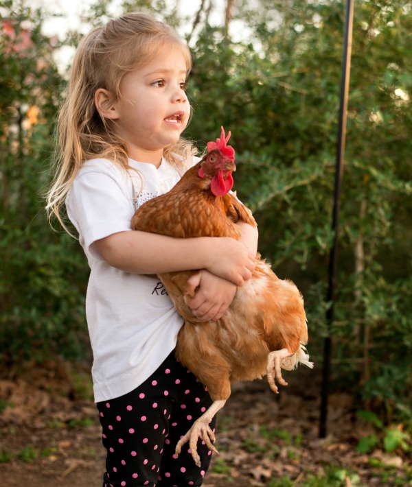 153329-cover-1-girl-golding-chicken-resized.jpg