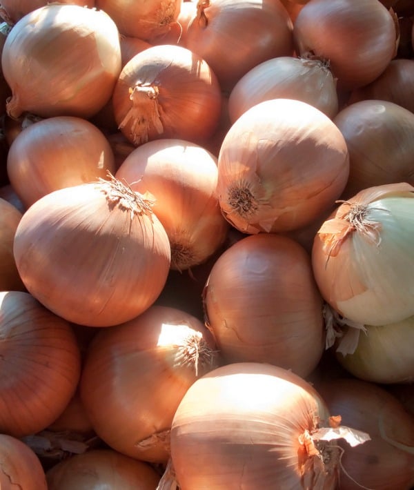153584-onions-resized.jpg