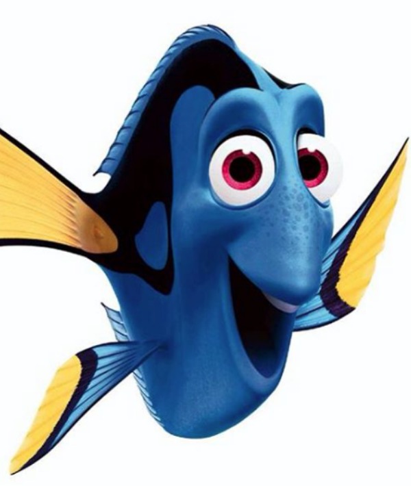 154629-dory-resized.jpg
