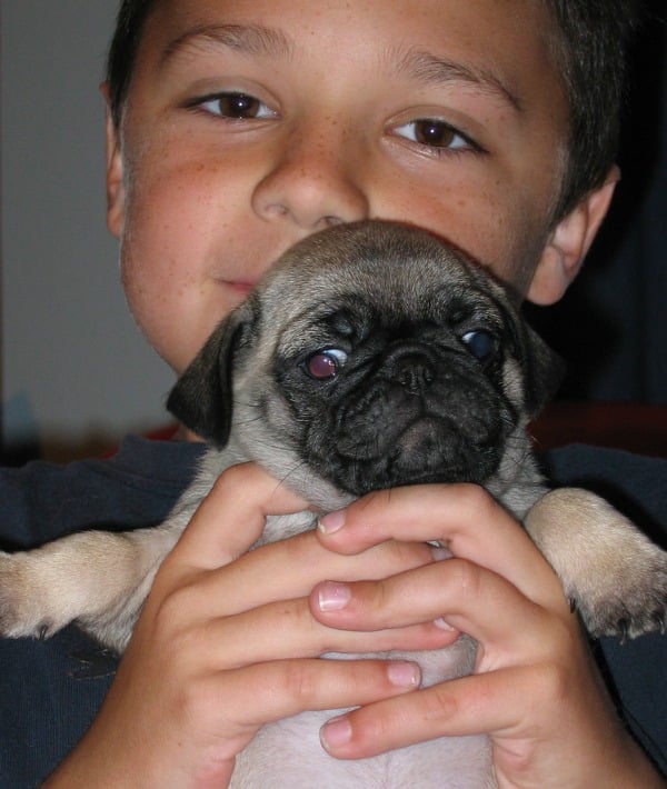 155014-getting-a-puppy-2-resized.jpg