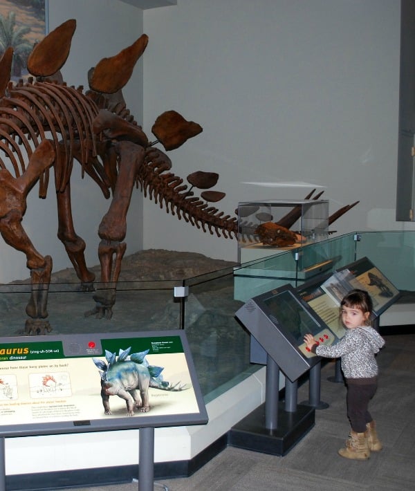155017-museum-resized.jpg