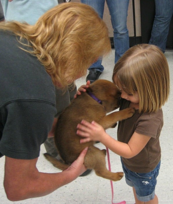 155026-getting-a-puppy-resized.jpg