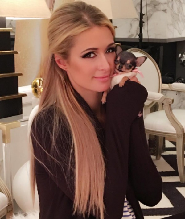 156346-paris-hilton.jpg