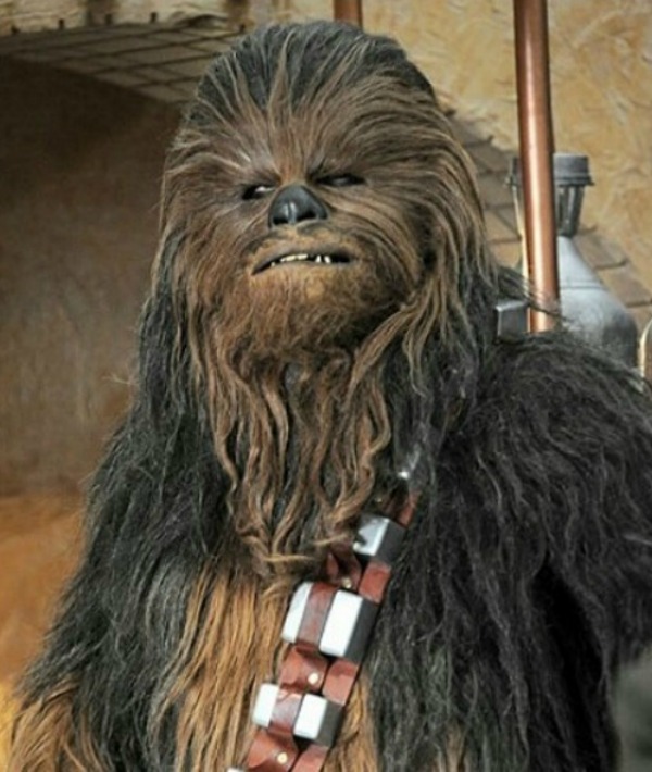 157194-chewbacca.jpg