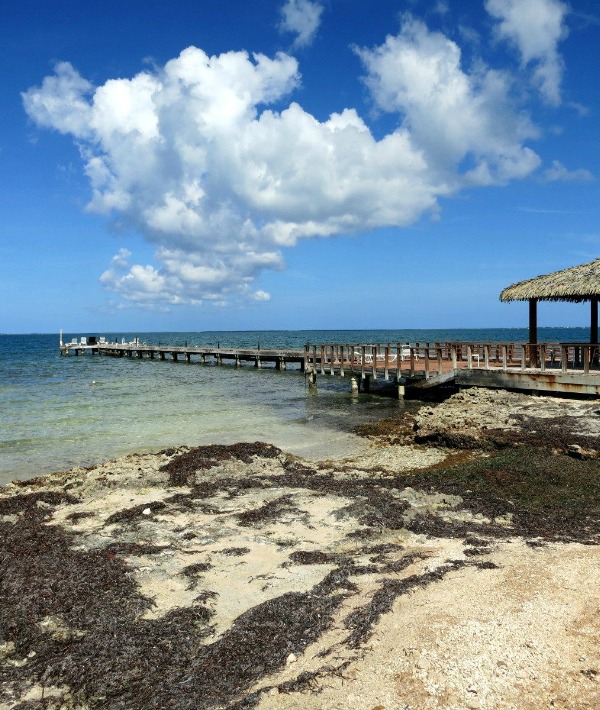 161136-cayman-islands.jpg